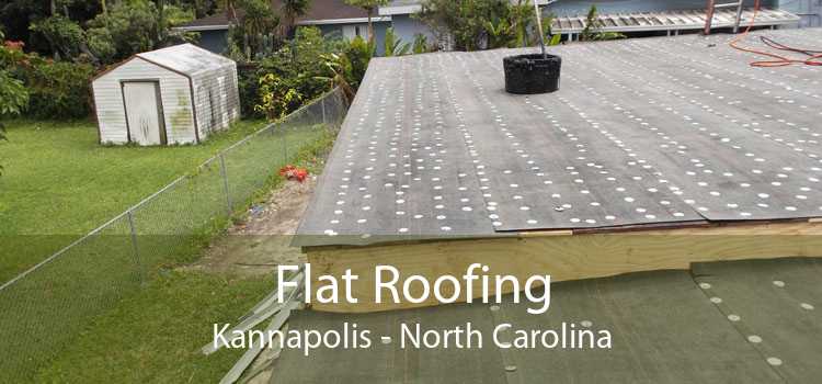 Flat Roofing Kannapolis - North Carolina
