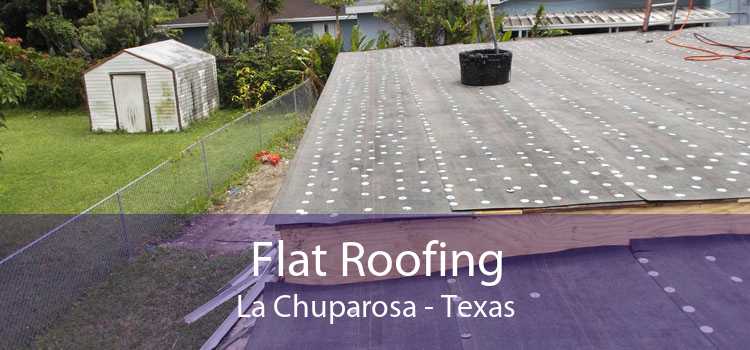 Flat Roofing La Chuparosa - Texas
