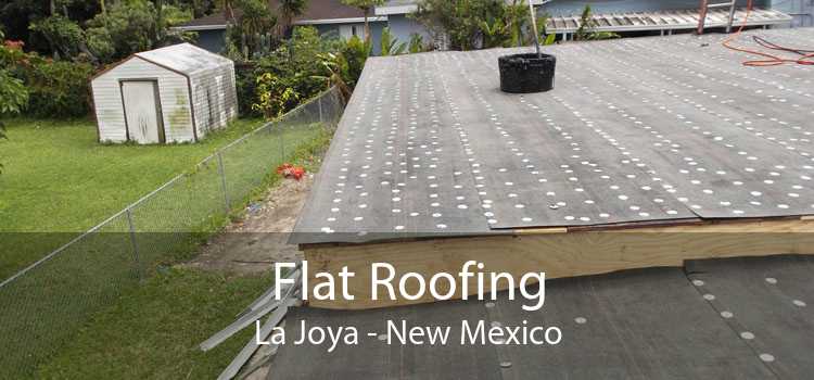 Flat Roofing La Joya - New Mexico