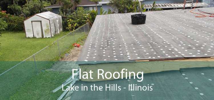 Flat Roofing Lake in the Hills - Illinois