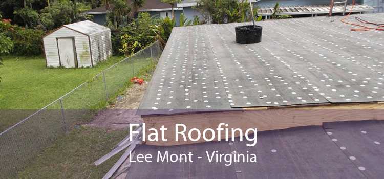 Flat Roofing Lee Mont - Virginia