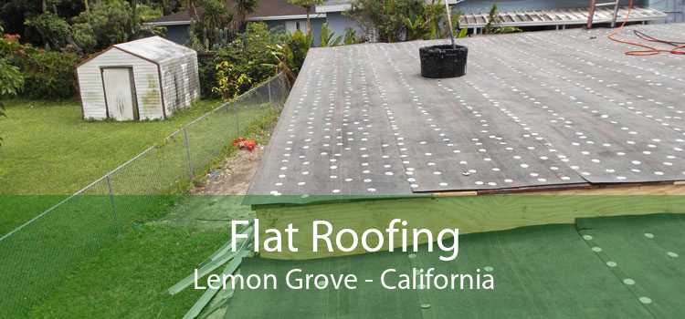 Flat Roofing Lemon Grove - California