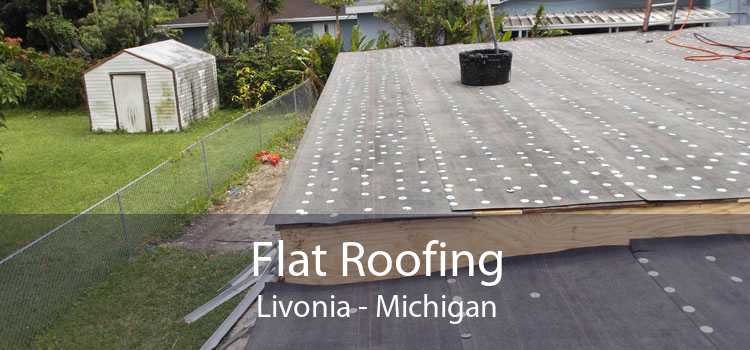 Flat Roofing Livonia - Michigan