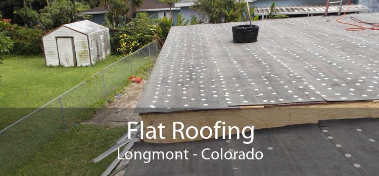 Flat Roofing Longmont - Colorado