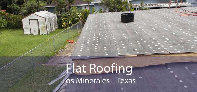 Flat Roofing Los Minerales - Texas