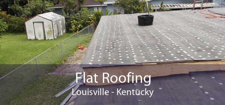 Flat Roofing Louisville - Kentucky