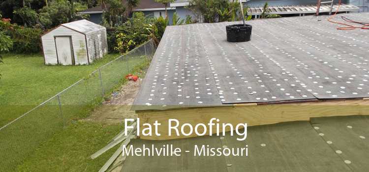 Flat Roofing Mehlville - Missouri