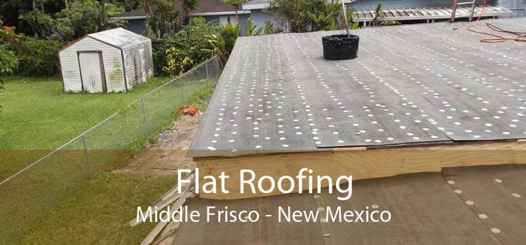 Flat Roofing Middle Frisco - New Mexico
