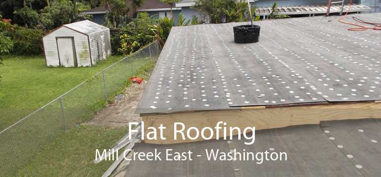 Flat Roofing Mill Creek East - Washington