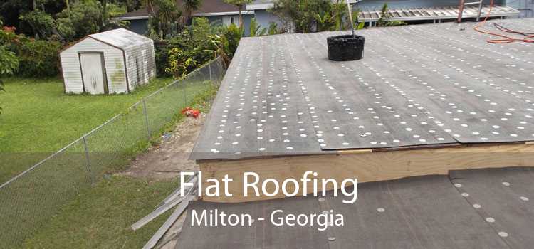 Flat Roofing Milton - Georgia