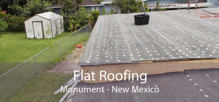 Flat Roofing Monument - New Mexico