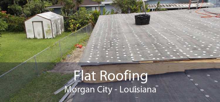 Flat Roofing Morgan City - Louisiana