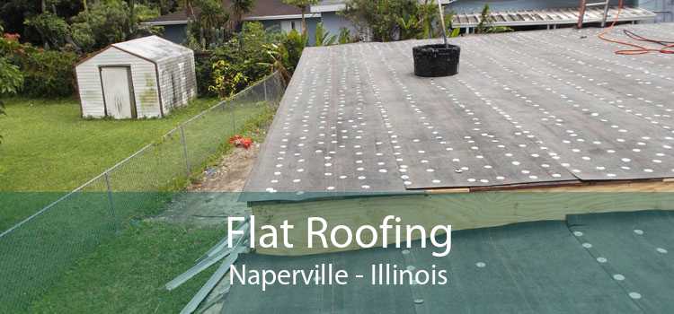 Flat Roofing Naperville - Illinois