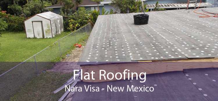 Flat Roofing Nara Visa - New Mexico