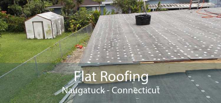 Flat Roofing Naugatuck - Connecticut