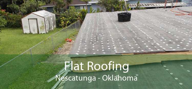 Flat Roofing Nescatunga - Oklahoma