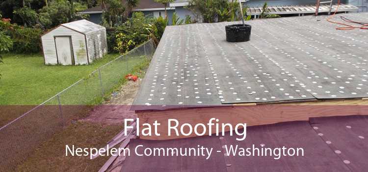Flat Roofing Nespelem Community - Washington