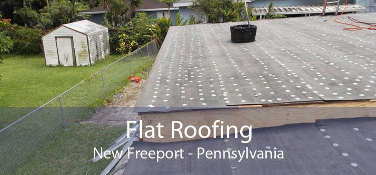 Flat Roofing New Freeport - Pennsylvania