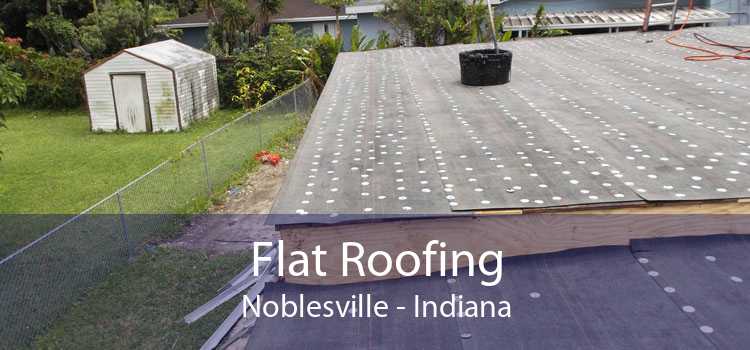 Flat Roofing Noblesville - Indiana