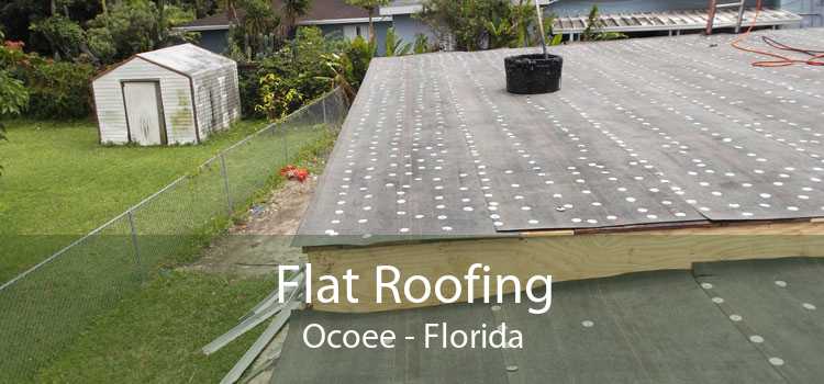 Flat Roofing Ocoee - Florida