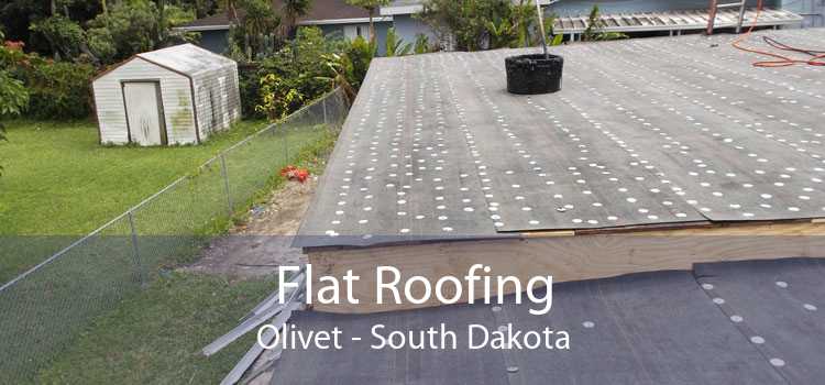 Flat Roofing Olivet - South Dakota