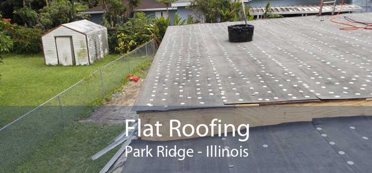 Flat Roofing Park Ridge - Illinois