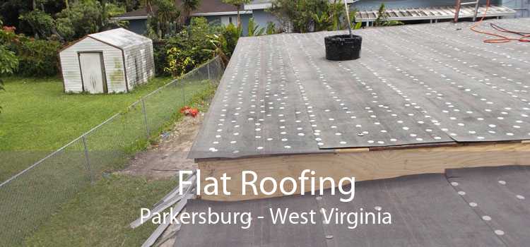 Flat Roofing Parkersburg - West Virginia