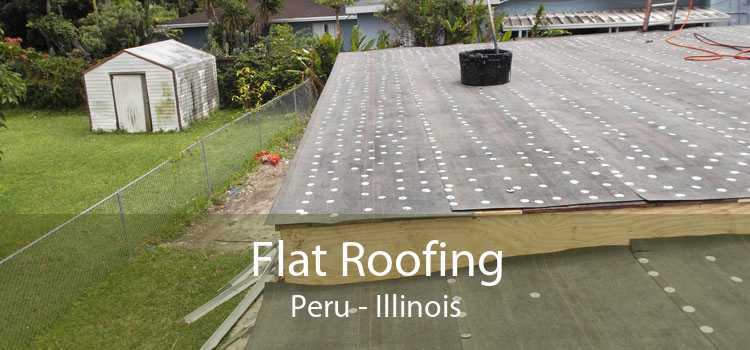 Flat Roofing Peru - Illinois