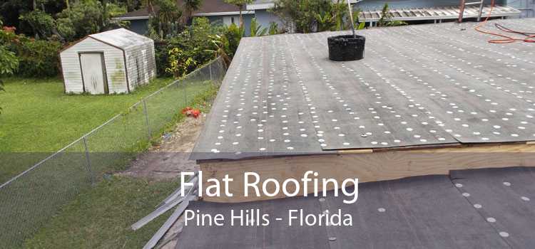 Flat Roofing Pine Hills - Florida