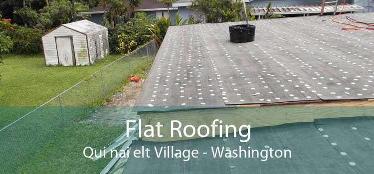 Flat Roofing Qui nai elt Village - Washington