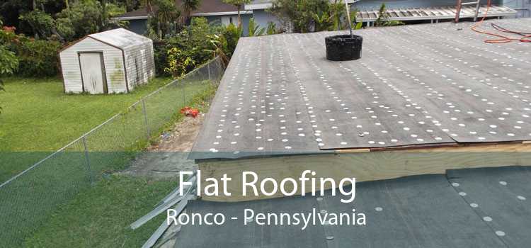 Flat Roofing Ronco - Pennsylvania