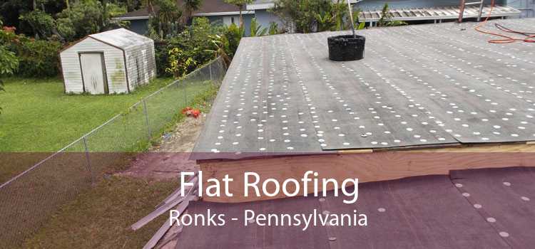Flat Roofing Ronks - Pennsylvania