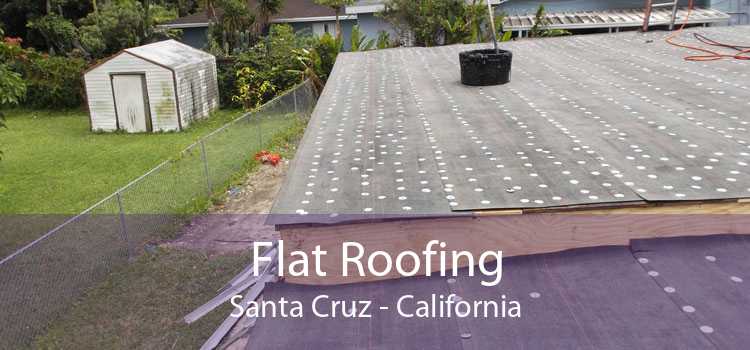 Flat Roofing Santa Cruz - California