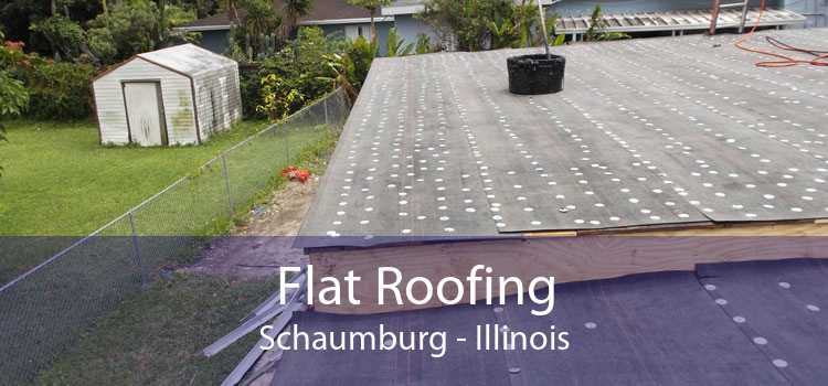 Flat Roofing Schaumburg - Illinois