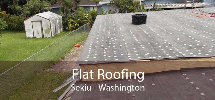 Flat Roofing Sekiu - Washington