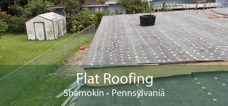 Flat Roofing Shamokin - Pennsylvania