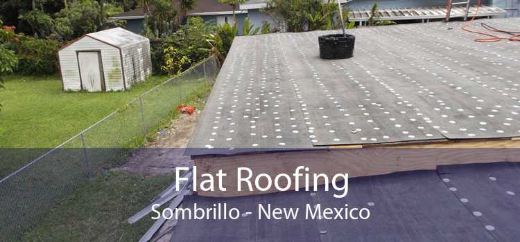Flat Roofing Sombrillo - New Mexico