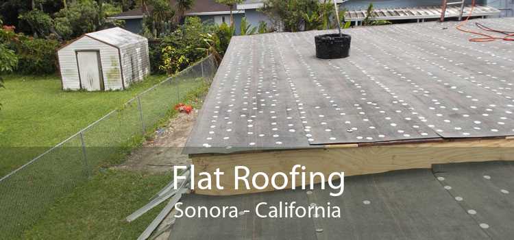 Flat Roofing Sonora - California