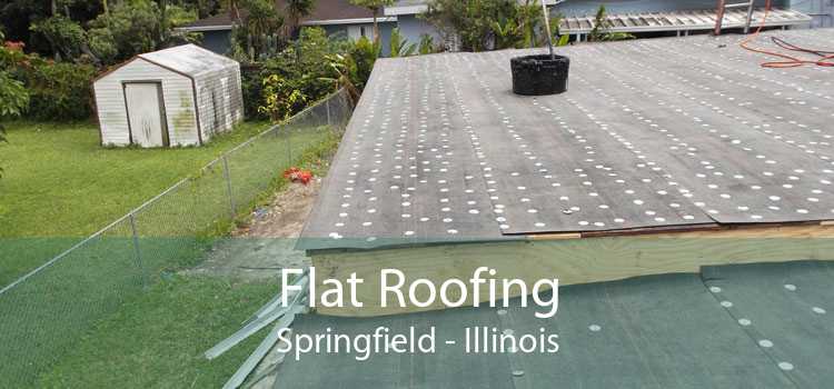 Flat Roofing Springfield - Illinois