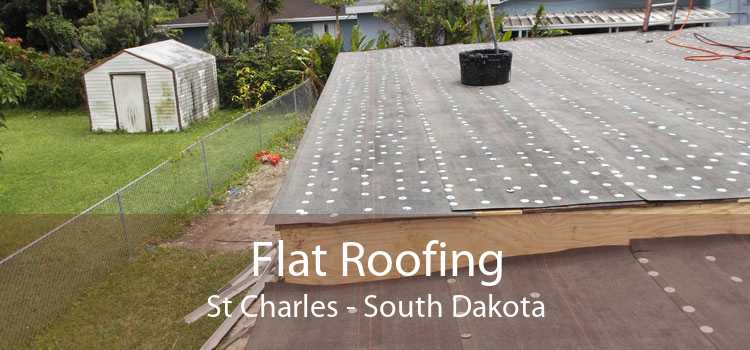 Flat Roofing St Charles - South Dakota