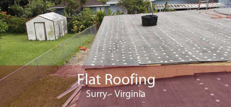 Flat Roofing Surry - Virginia