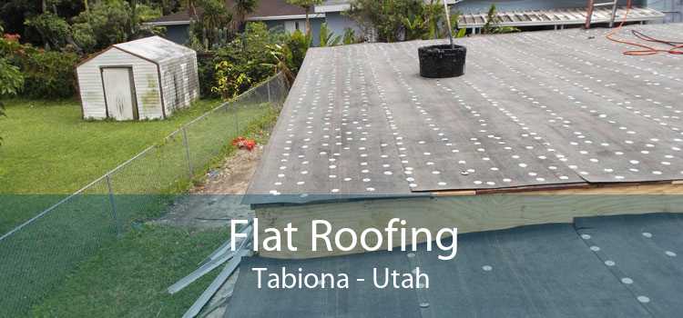 Flat Roofing Tabiona - Utah
