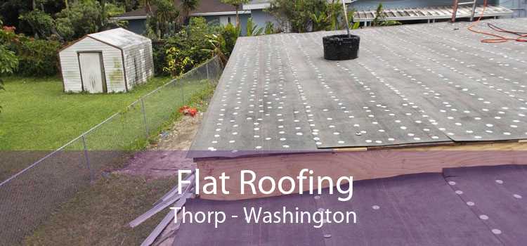 Flat Roofing Thorp - Washington