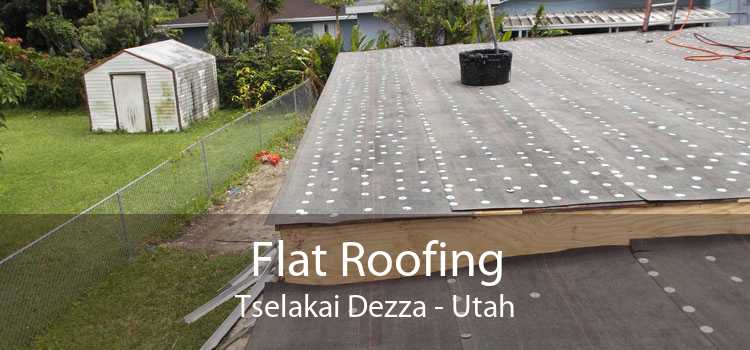 Flat Roofing Tselakai Dezza - Utah