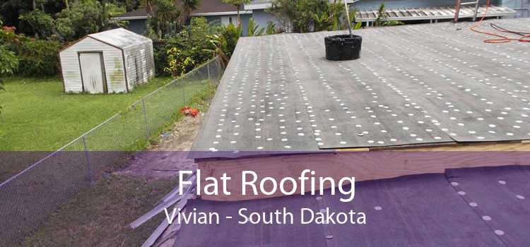 Flat Roofing Vivian - South Dakota