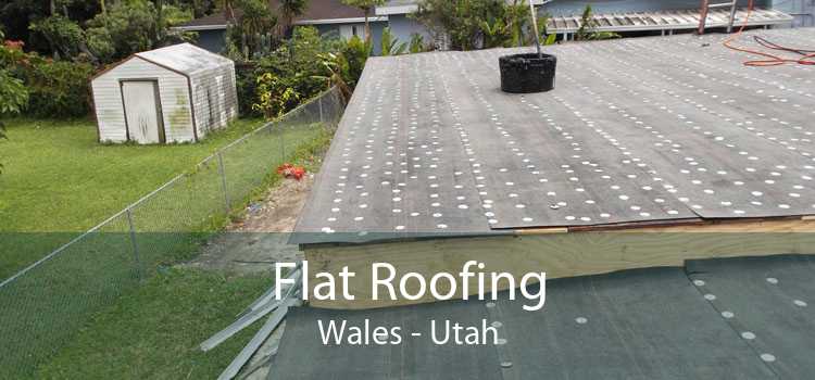 Flat Roofing Wales - Utah