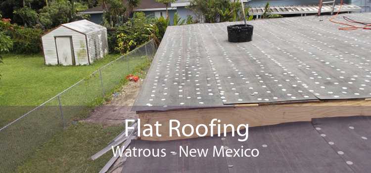 Flat Roofing Watrous - New Mexico