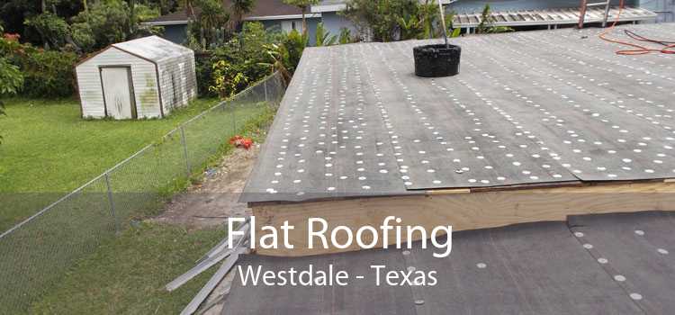 Flat Roofing Westdale - Texas