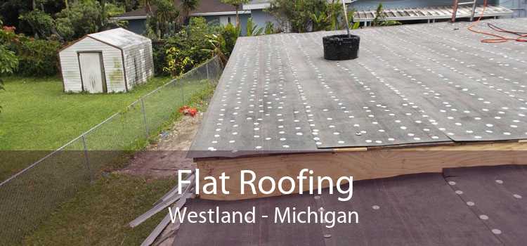 Flat Roofing Westland - Michigan