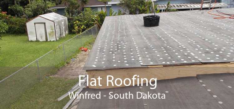 Flat Roofing Winfred - South Dakota